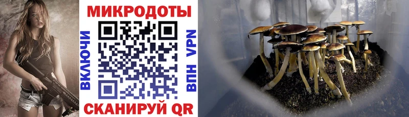 купить наркоту  Сергач  даркнет клад  Галлюциногенные грибы MAGIC MUSHROOMS 
